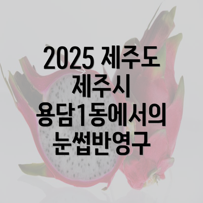 2025 제주도 제주시 용담1동에서의 눈썹반영구