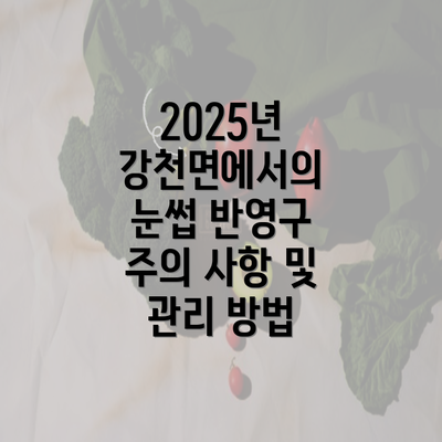 2025년 강천면에서의 눈썹 반영구 주의 사항 및 관리 방법