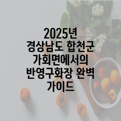 2025년 경상남도 합천군 가회면에서의 반영구화장 완벽 가이드