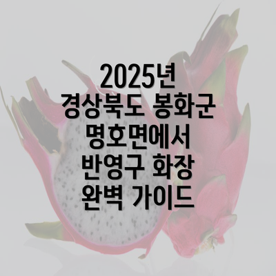 2025년 경상북도 봉화군 명호면에서 반영구 화장 완벽 가이드