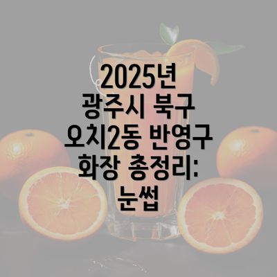 2025년 광주시 북구 오치2동 반영구 화장 총정리: 눈썹