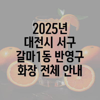 2025년 대전시 서구 갈마1동 반영구 화장 전체 안내