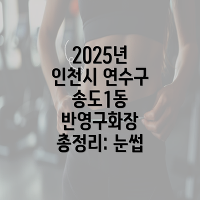 2025년 인천시 연수구 송도1동 반영구화장 총정리: 눈썹