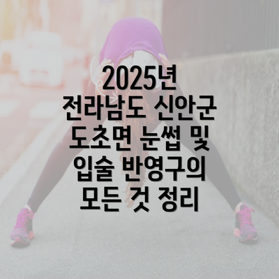 2025년 전라남도 신안군 도초면 눈썹 및 입술 반영구의 모든 것 정리