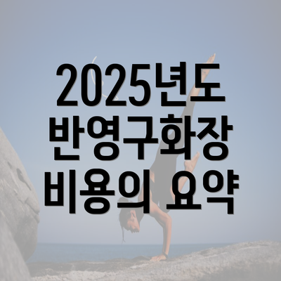 2025년도 반영구화장 비용의 요약