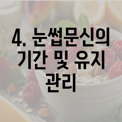 4. 눈썹문신의 기간 및 유지 관리