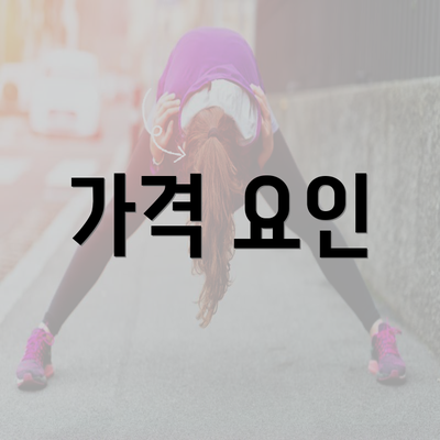 가격 요인