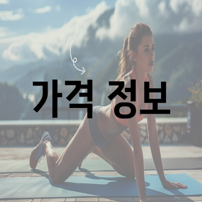 가격 정보