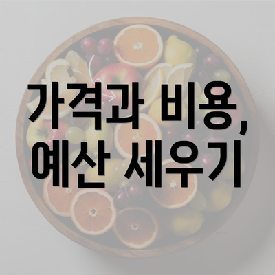 가격과 비용, 예산 세우기