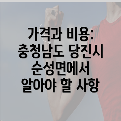 가격과 비용: 충청남도 당진시 순성면에서 알아야 할 사항