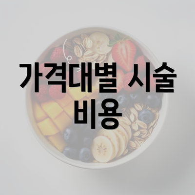 가격대별 시술 비용