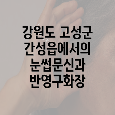 강원도 고성군 간성읍에서의 눈썹문신과 반영구화장