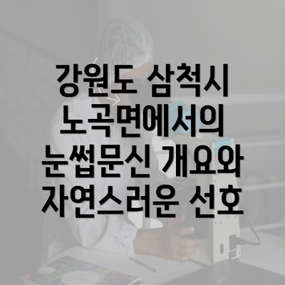 강원도 삼척시 노곡면에서의 눈썹문신 개요와 자연스러운 선호