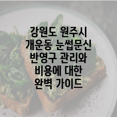 강원도 원주시 개운동 눈썹문신 반영구 관리와 비용에 대한 완벽 가이드