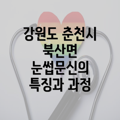 강원도 춘천시 북산면 눈썹문신의 특징과 과정