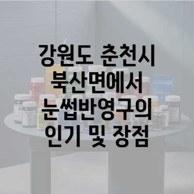 강원도 춘천시 북산면에서 눈썹반영구의 인기 및 장점