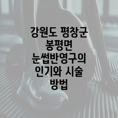 강원도 평창군 봉평면 눈썹반영구의 인기와 시술 방법