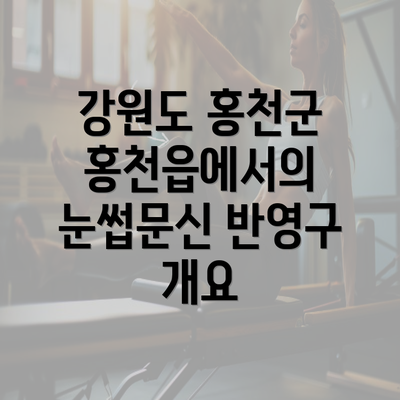 강원도 홍천군 홍천읍에서의 눈썹문신 반영구 개요