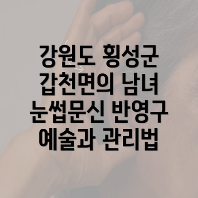 강원도 횡성군 갑천면의 남녀 눈썹문신 반영구 예술과 관리법