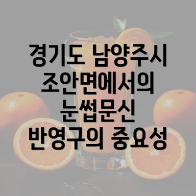 경기도 남양주시 조안면에서의 눈썹문신 반영구의 중요성