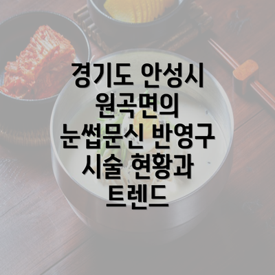 경기도 안성시 원곡면의 눈썹문신 반영구 시술 현황과 트렌드