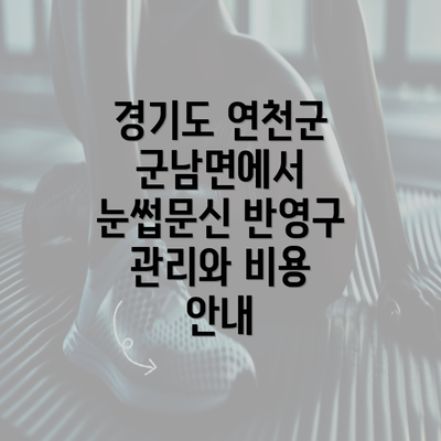 경기도 연천군 군남면에서 눈썹문신 반영구 관리와 비용 안내