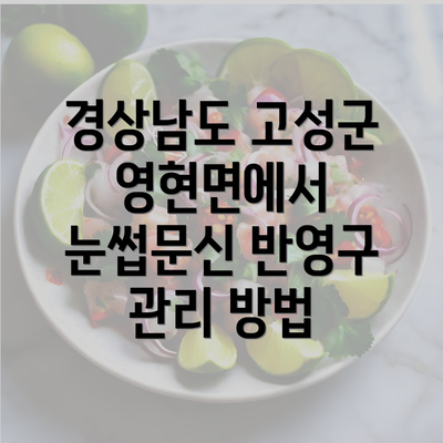 경상남도 고성군 영현면에서 눈썹문신 반영구 관리 방법