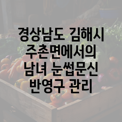 경상남도 김해시 주촌면에서의 남녀 눈썹문신 반영구 관리