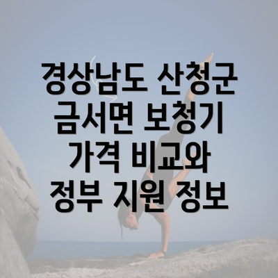 경상남도 산청군 금서면 보청기 가격 비교와 정부 지원 정보