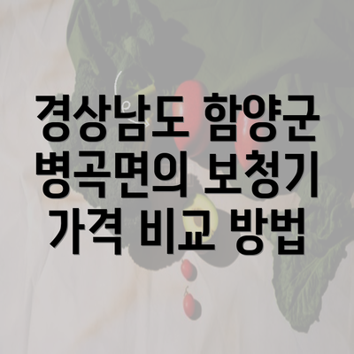 경상남도 함양군 병곡면의 보청기 가격 비교 방법