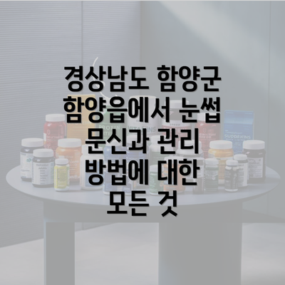 경상남도 함양군 함양읍에서 눈썹 문신과 관리 방법에 대한 모든 것