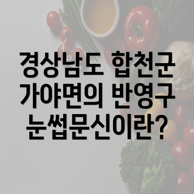 경상남도 합천군 가야면의 반영구 눈썹문신이란?