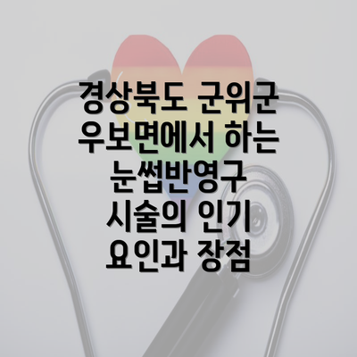 경상북도 군위군 우보면에서 하는 눈썹반영구 시술의 인기 요인과 장점