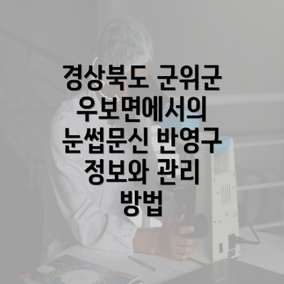 경상북도 군위군 우보면에서의 눈썹문신 반영구 정보와 관리 방법