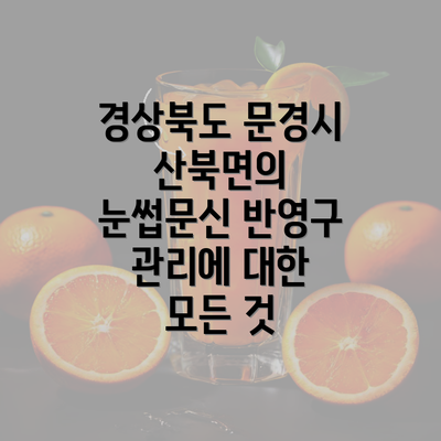 경상북도 문경시 산북면의 눈썹문신 반영구 관리에 대한 모든 것