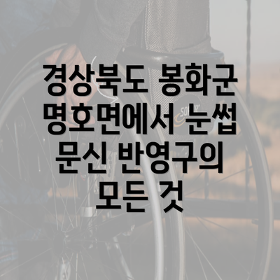 경상북도 봉화군 명호면에서 눈썹 문신 반영구의 모든 것