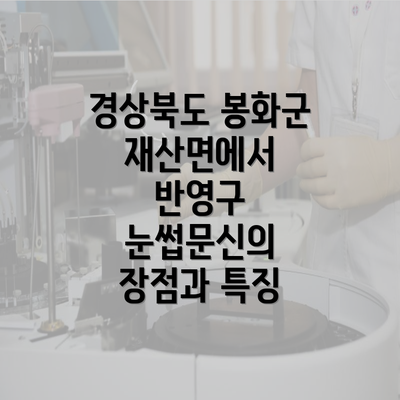 경상북도 봉화군 재산면에서 반영구 눈썹문신의 장점과 특징