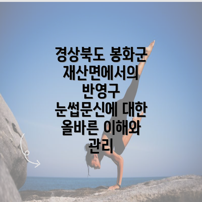 경상북도 봉화군 재산면에서의 반영구 눈썹문신에 대한 올바른 이해와 관리