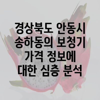 경상북도 안동시 송하동의 보청기 가격 정보에 대한 심층 분석