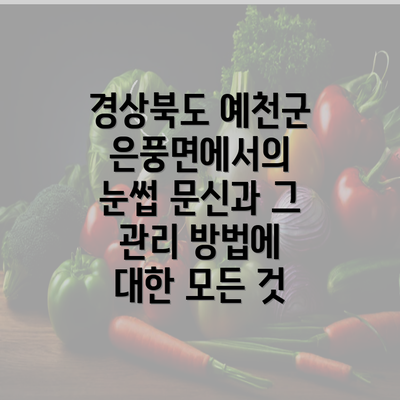 경상북도 예천군 은풍면에서의 눈썹 문신과 그 관리 방법에 대한 모든 것