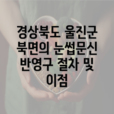 경상북도 울진군 북면의 눈썹문신 반영구 절차 및 이점