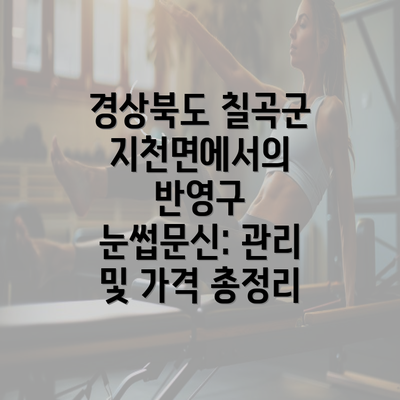 경상북도 칠곡군 지천면에서의 반영구 눈썹문신: 관리 및 가격 총정리