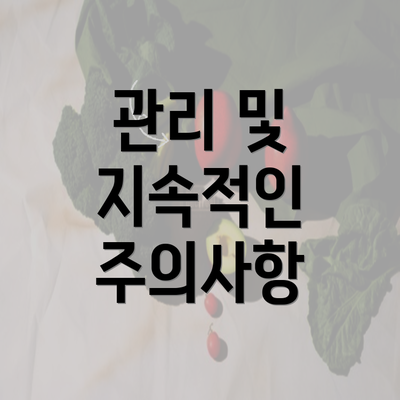 관리 및 지속적인 주의사항