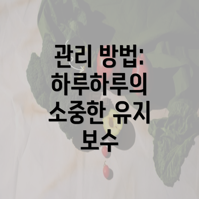 관리 방법: 하루하루의 소중한 유지 보수