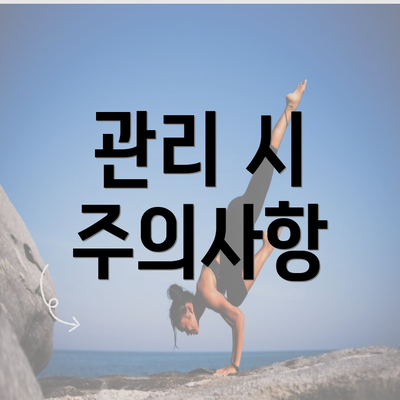 관리 시 주의사항