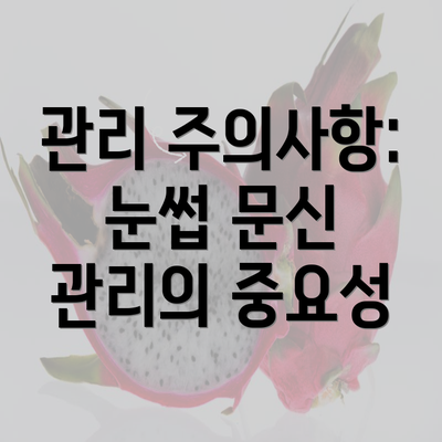 관리 주의사항: 눈썹 문신 관리의 중요성