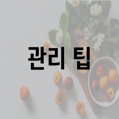 관리 팁