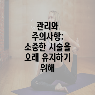 관리와 주의사항: 소중한 시술을 오래 유지하기 위해