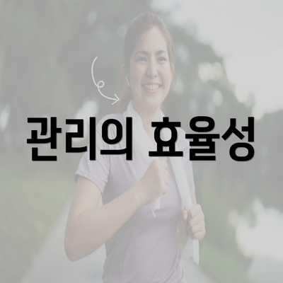 관리의 효율성