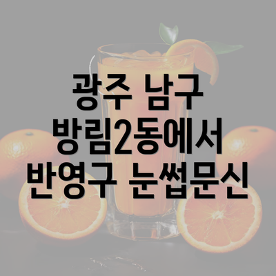 광주 남구 방림2동에서 반영구 눈썹문신